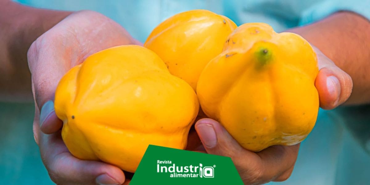 Puno de exportación: productores de Sandia comercializan 55 toneladas de papayita andina Revista Industria Alimentaria